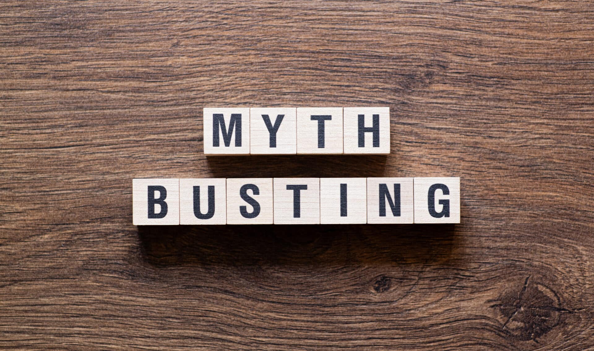 Myth Busting Word Concept On Building Blocks, Text